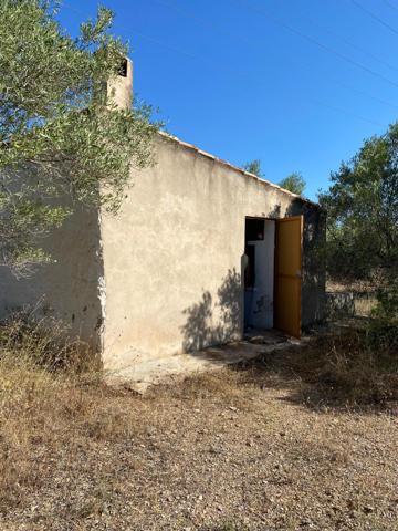 Finca Rústica con caseta y casa de madera, a 5,5 km del mar photo 0