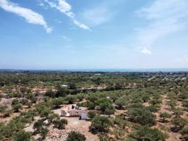 Encantadora Finca Rústica con Olivos Centenarios a 3,5 km de La Ampolla y el Mar photo 0