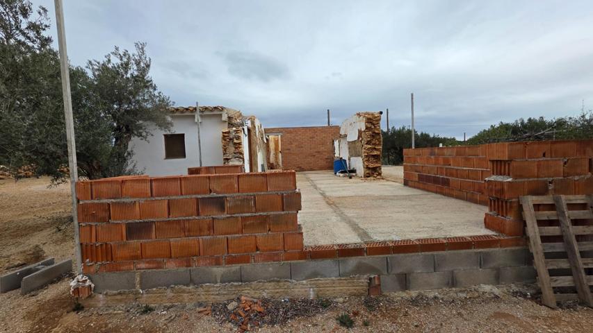 Encantadora Finca Rústica con Olivos Centenarios a 3,5 km de La Ampolla y el Mar photo 0