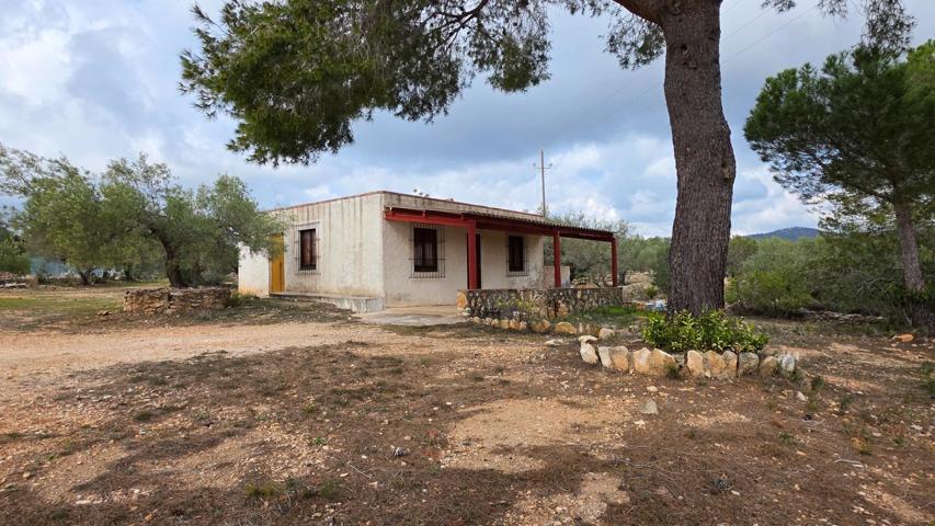 Encantadora Finca Rústica con Casa de Campo a 5 km de L’Ametlla de Mar 🌿🏡 photo 0