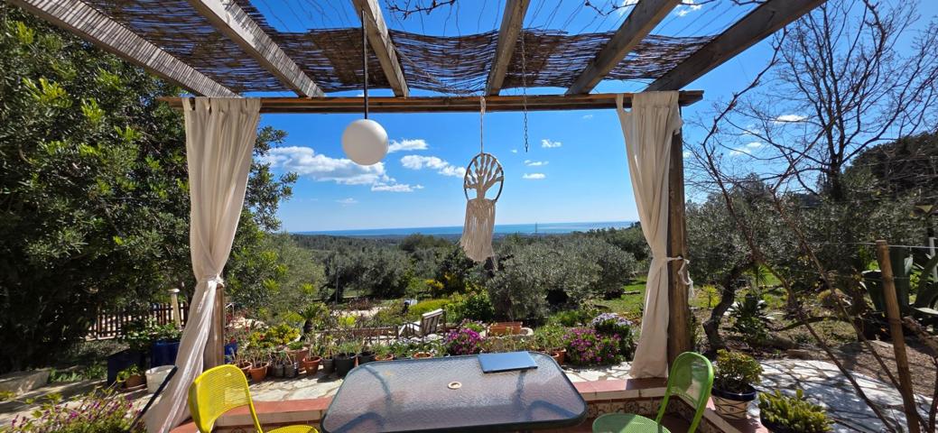 Exclusiva Finca Rústica con Vistas al Mar en El Perelló – 31.000 m² de Olivos Ecológicos photo 0