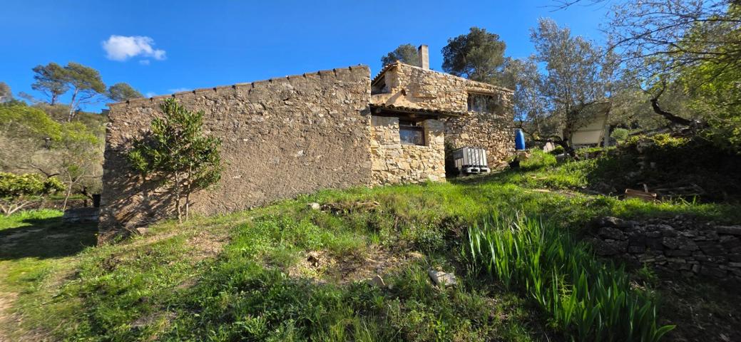 Refugio sostenible entre olivos y montañas cerca de El Perelló photo 0