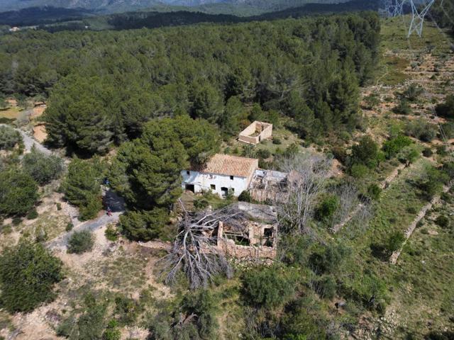 Finca rústica con masía catalogada en venta en Tivissa, a 5 km de la costa photo 0