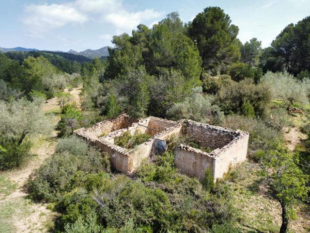 Finca rústica de 38 ha con masía catalogada en venta en Tivissa, a 9 km del mar photo 0