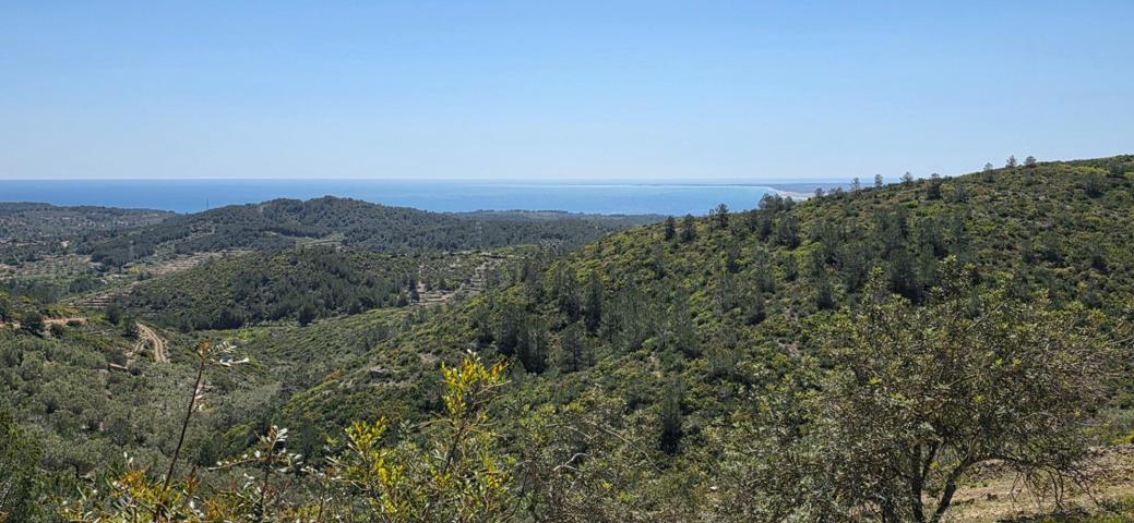 Oportunidad única: Finca rústica con vistas al mar y la montaña en El Perelló photo 0