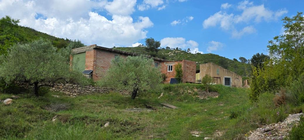 Finca Ecológica en Paraíso Natural cerca de El Perelló photo 0