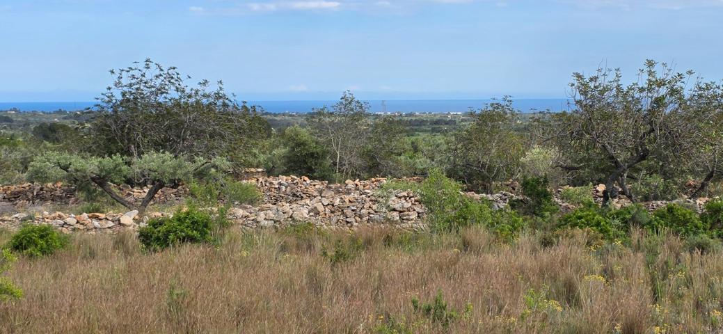 Finca Rústica en Venta en l’Ametlla de Mar – 12.093 m² con Vistas al Mar photo 0