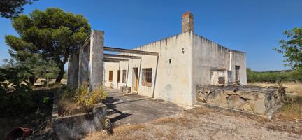 Finca rústica de 40.000 m² en venta en l’Ametlla de Mar – con casa y certificación ecológica photo 0