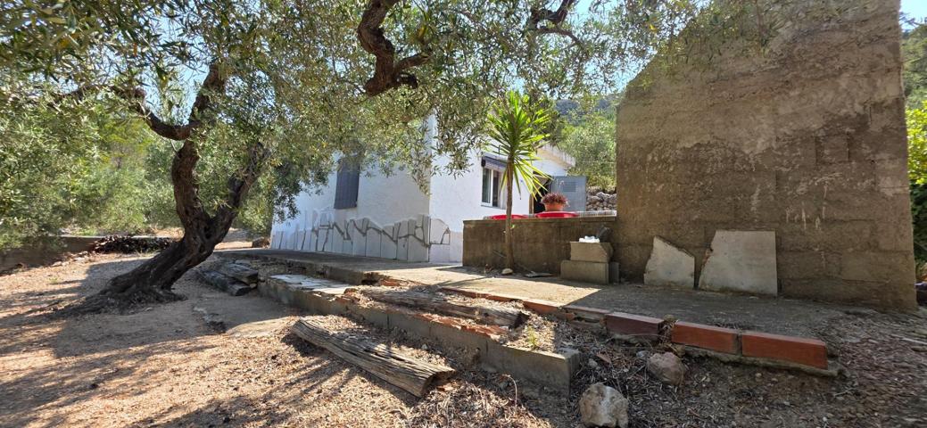 Oportunidad única: finca con casa de campo a 2 km de la playa naturista del Torn photo 0