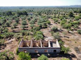 Finca Rústica con Vistas al Mar en la Costa Dorada – ¡Oportunidad Única! photo 0