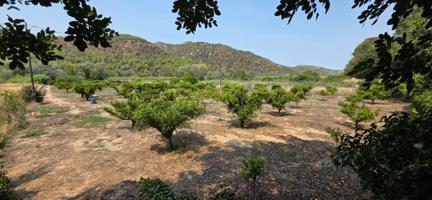 Exclusiva finca rústica junto al río Ebro con frutales y casita cueva en Miravet photo 0