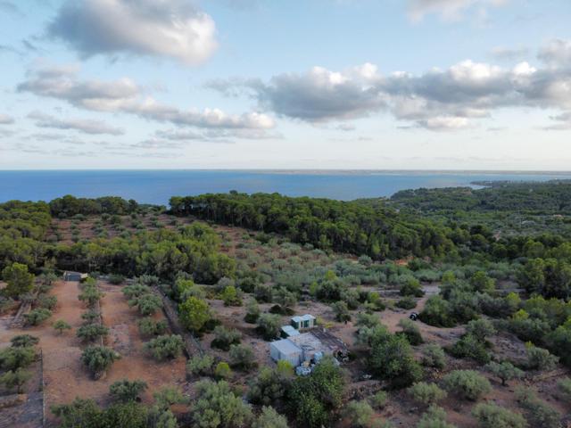 Exclusiva finca rústica junto al mar, con casa para restaurar, a solo 1,3 km de la playa de l’Illot en L’Ametlla de Mar photo 0
