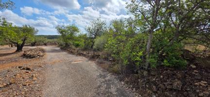 Finca rústica con olivos y buen acceso, entre El Perelló y l’Ametlla de Mar photo 0