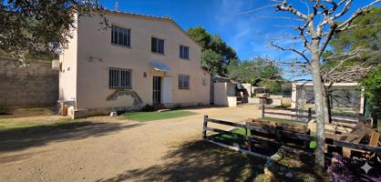 Finca rústica con vivienda y olivos a 900 m del Perelló y cerca de las mejores playas photo 0