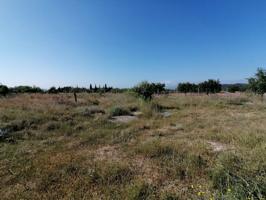 TERRENO RUSTICO CASINOS con agua. photo 0