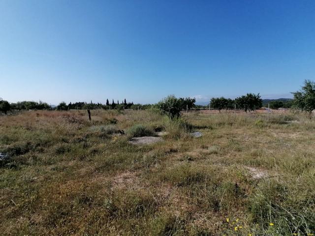 TERRENO RUSTICO CASINOS con agua. photo 0