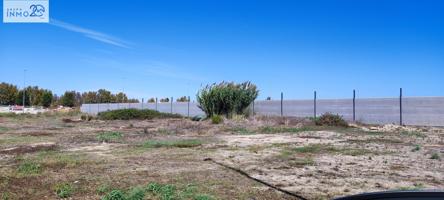 TERRENO EN VENTA - PARTIDA OLIVARONS 7 - SOLLANA photo 0