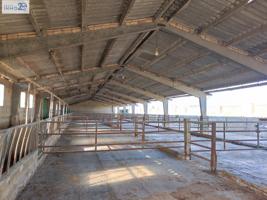 VENTA GRANJA VACUNA con NAVE CUBIERTA en zona LA COMA (PICASSENT) photo 0