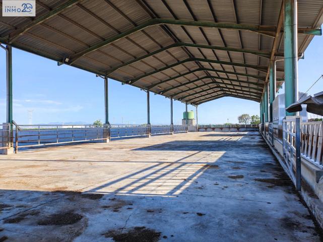 VENTA GRANJA VACUNA con NAVE CUBIERTA en zona LA COMA (PICASSENT) photo 0