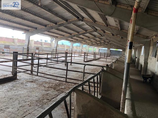 VENTA GRANJA SUECA photo 0