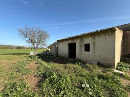 BONITO TERRENO CON CASETA EN EL PUEBLO DE SELVA photo 0