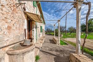 FINCA RÚSTICA CON VISTAS A LA TRAMUNTANA EN EL PUEBLO DE SELVA photo 0