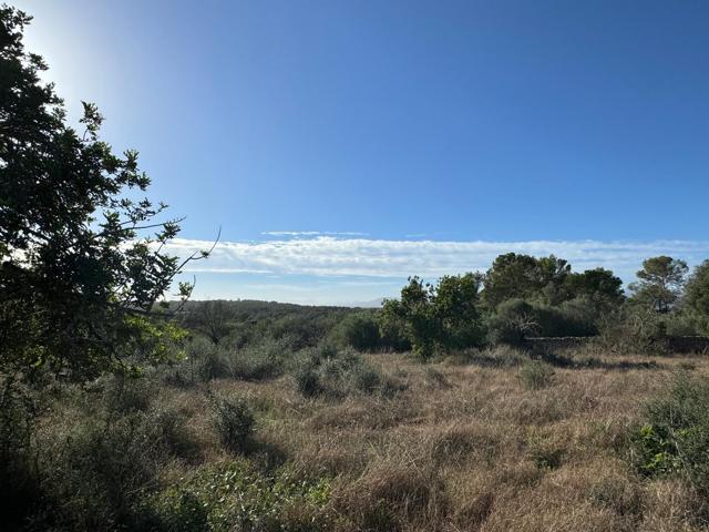 FINCA RUSTICA COSTITX photo 0