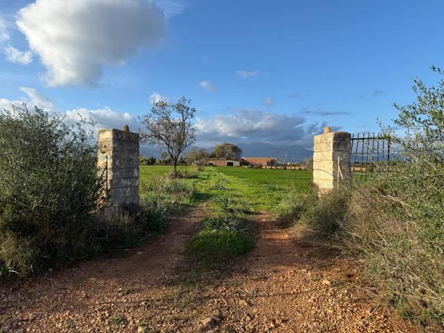 Casa De Campo En venta en Sin Zona, Sencelles photo 0
