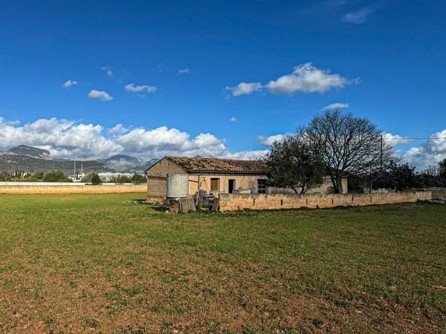 FINCA RUSTICA EN BINISSALEM photo 0