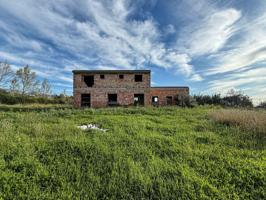 FINCA RUSTICA EN SELVA photo 0
