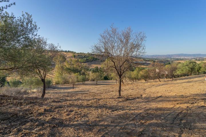 TERRENO RUSTICO ZONA ALQUERIA photo 0