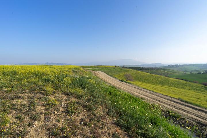 TERRENO RUSTICO A 1,8 KM DE AUTOVÍA photo 0