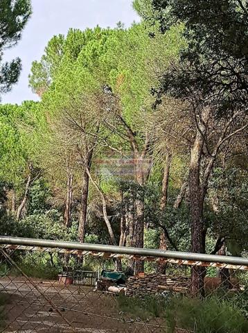 Terreno Urbanizable En venta en Pinares Del Jucar, Albacete photo 0