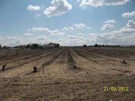 Terreno Urbanizable En venta en Villanueva De La Serena photo 0