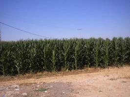 Parcela en venta photo 0