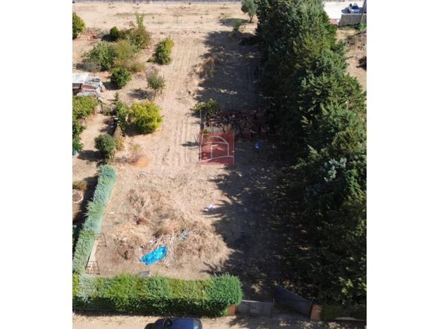 PARCELA RUSTICO-REGADIO ZONA BADEN photo 0