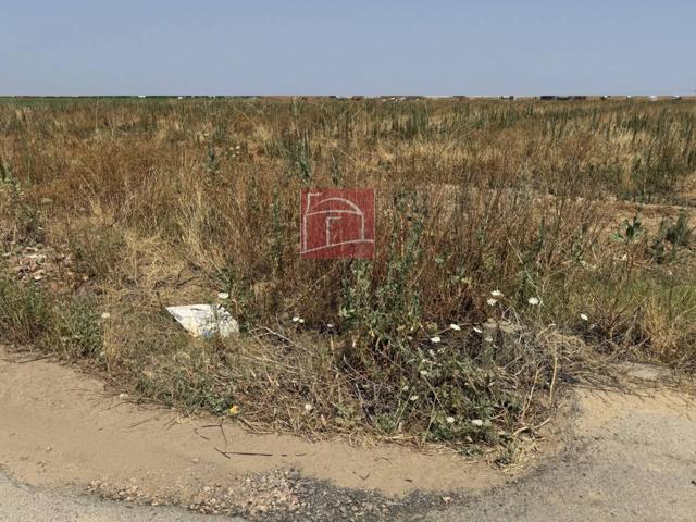 TERRENO RUSTICO-REGADIO A ESCASOS METROS DE VILLANUEVA. photo 0