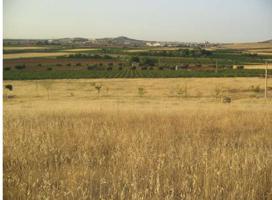 Campo vallado en venta photo 0