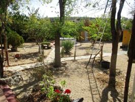 Venta - Baños del Peral, Valdepeñas, Ciudad Real photo 0