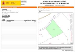 TERRENO DE SECANO A 4KM DE VALDEPEÑAS photo 0