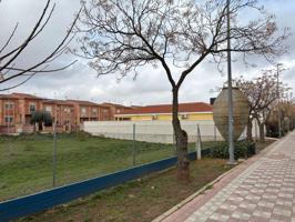 PARCELA photo 0