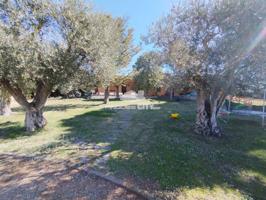 Lote de Fincas de NUDA PROPIEDAD. 3.200m2 en Alt Empordà, muy próximo a la Costa Brava photo 0