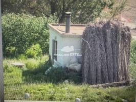 Venta de finca rústica en Calella photo 0