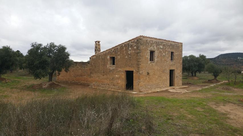 EN ALQUILER Finca rústica de 5 hectáreas con casita y pozo de agua photo 0
