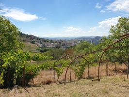 23.000€ Finca EL PINO Rústica 1.800m2 ourense photo 0