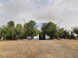 INMOVAL VENDE FINCA A POCOS KILOMETROS DE VALDEPEÑAS photo 0