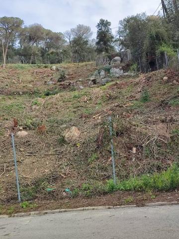 Terreno en Dosrius photo 0
