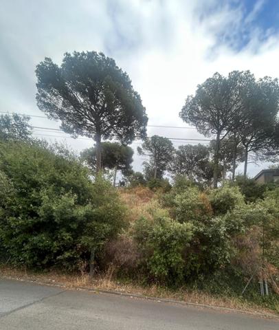 Terreno en Can Massuet photo 0