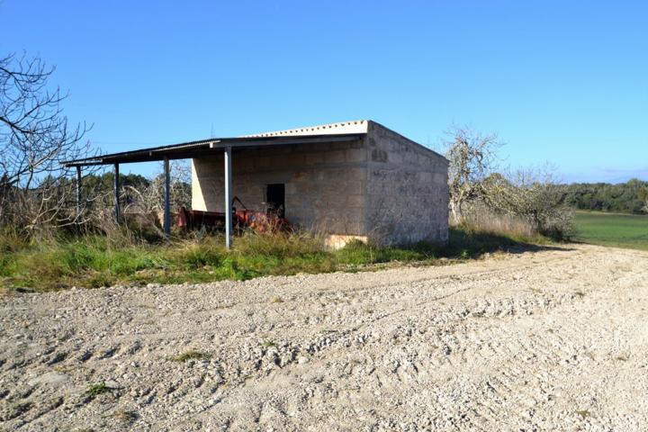 Terreno edificable en Llubi. photo 0