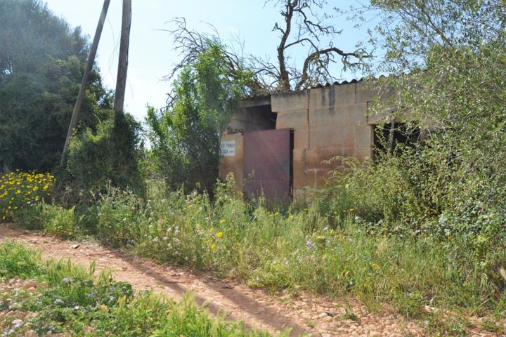 Finca rústica en venta en Llubi. photo 0